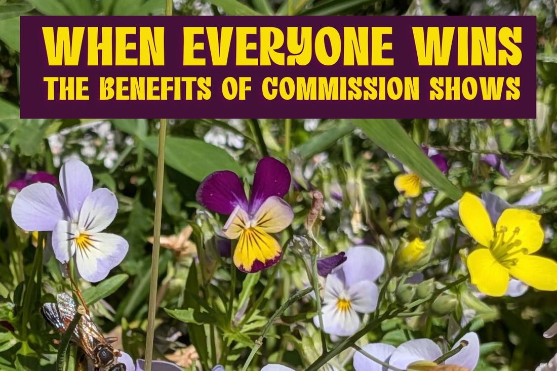 Lavender, purple and yellow pansies with a banner at the top reading "When everyone wins: the benefits of commission shows."