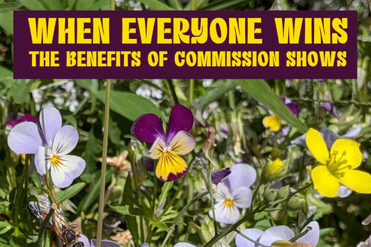 Lavender, purple and yellow pansies with a banner at the top reading "When everyone wins: the benefits of commission shows."